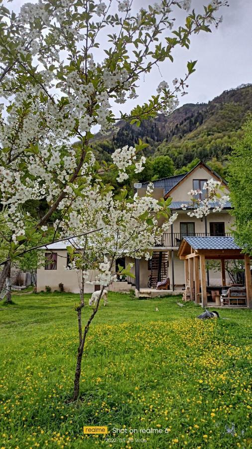 House B&B Μέστια Εξωτερικό φωτογραφία