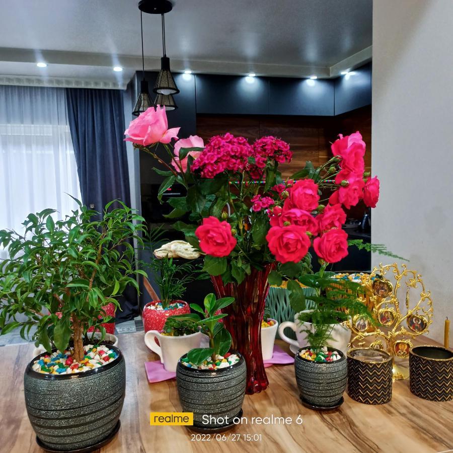House B&B Μέστια Εξωτερικό φωτογραφία